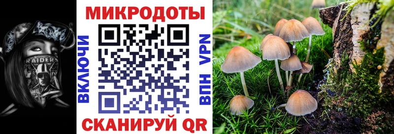 Галлюциногенные грибы мицелий  mega ссылка  Торжок 